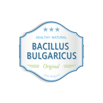 Bacillus Bulgaricus